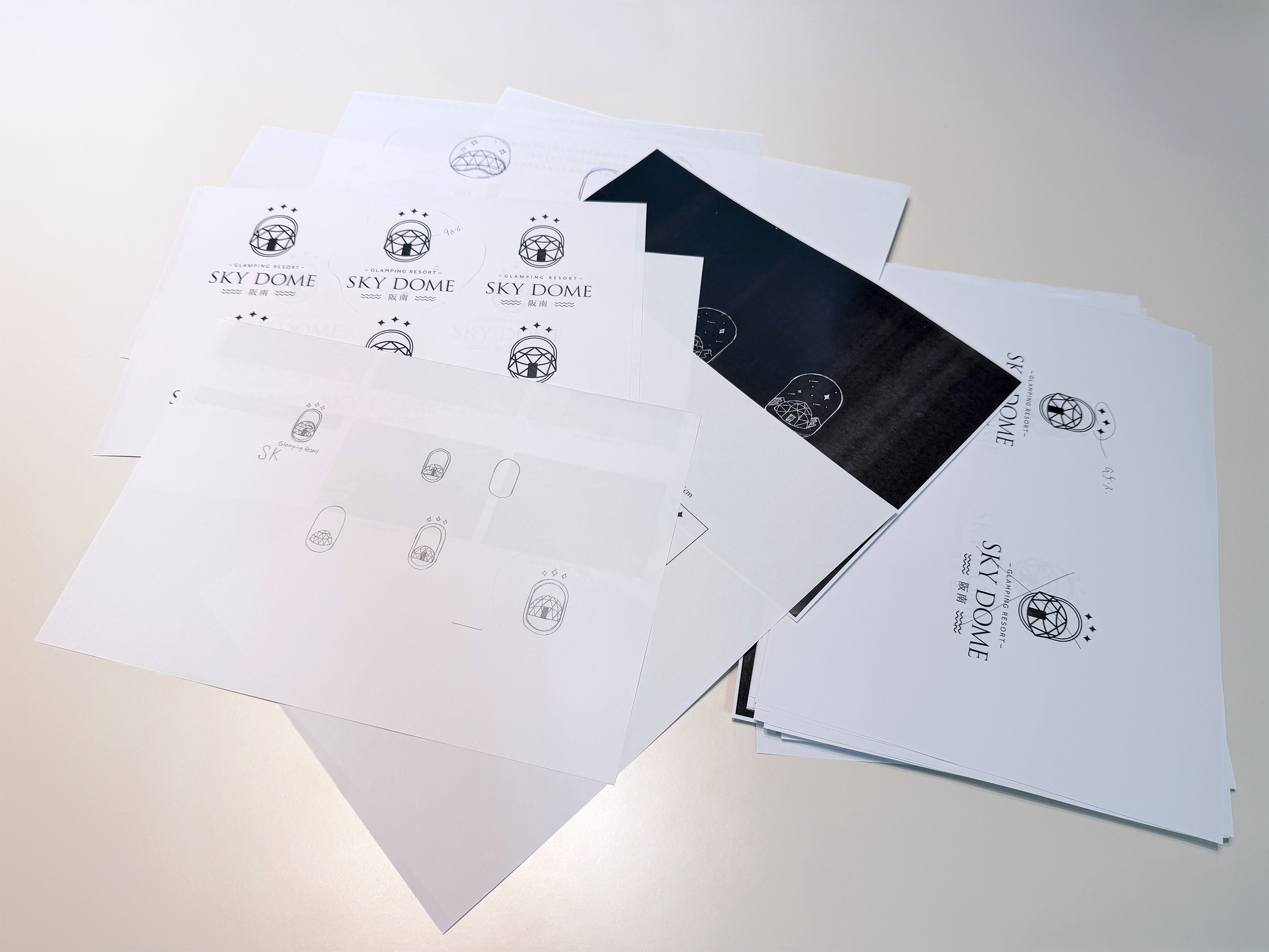 skydome 阪南 ロゴ